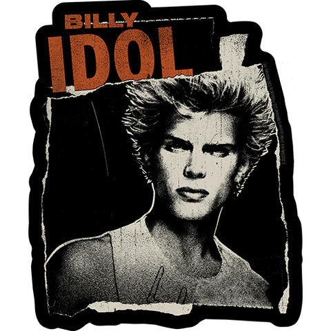 Billy Idol - Photo - Sticker