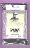 STING-Framed & Labeled Trading Card-2022 Upper Deck AEW-All Elite-#76-1230890