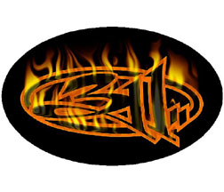 311 - Flames Logo Sticker
