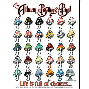 The Allman Brothers - Choices - Sticker