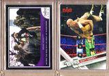 Matt Hardy+Bray Wyatt-WWE-2 Card Lot-1 2017 Topps+1 2016 Topps R2W WMania-Mint