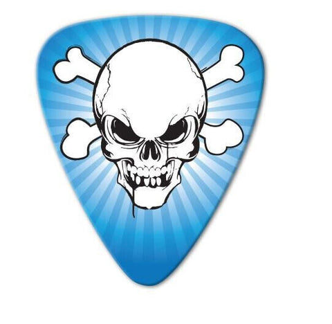 Guitar Pick-1-G-Poly-Grover Allman-.80mm-Skull Crossbones-Plectrum