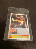 Hulk Hogan-2015 Topps WWE Tribute-#30-Defeats Triple H-Python-Near Mint To Mint