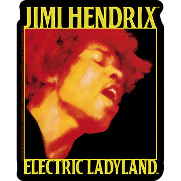 Jimi Hendrix - Face Electric Ladyland - Sticker