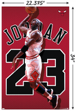 Michael Jordan - Poster - Air Jumpman- Bulls-Wall-Licensed-New-Rolled