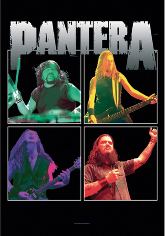 Pantera - Band Frames - Flag