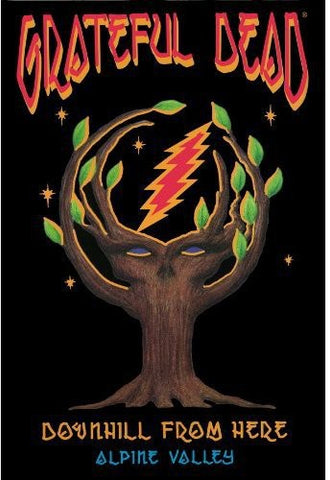Grateful Dead - Downhill From Here - DVD