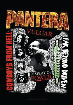 Pantera - Albums Flag