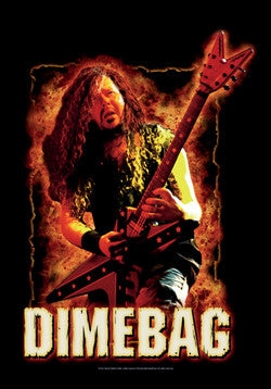 Pantera - Dimebag Guitar Poster Flag