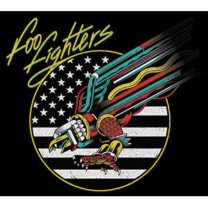 Foo Fighters - Eagle Sticker
