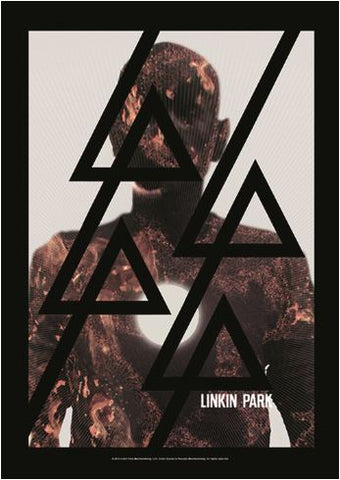 Linkin Park - Burn It Flag
